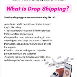 Start Your Dropshipping Empire | PLR Digital eBook | 20-Page Beginner’s Guide