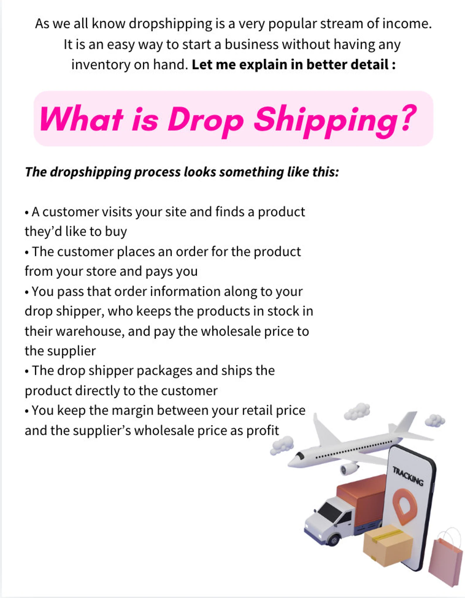 Start Your Dropshipping Empire | PLR Digital eBook | 20-Page Beginner’s Guide - Image 4