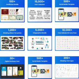 700GB+ Creative Assets Pack for Designers