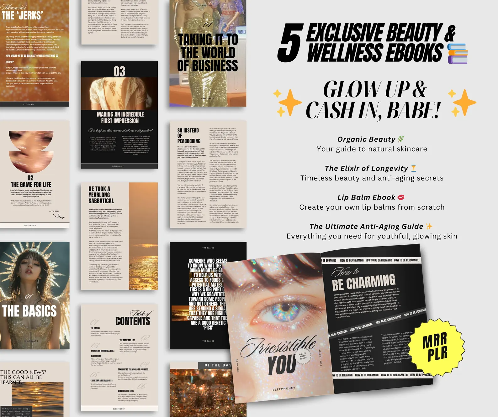 5 Done-for-You PLR Guides | MRR Glow Up Bundle | Self-Improvement, Personal Growth - Image 5